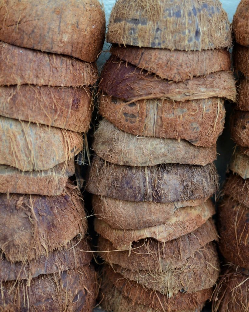 coconut shell bulk