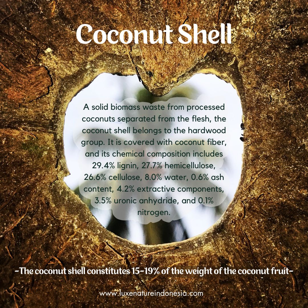 Fun facts about coconut shells Composition