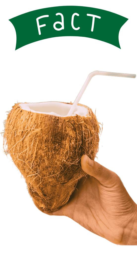fun facts coconut water