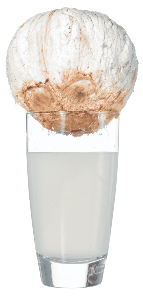 coconut water nutrition