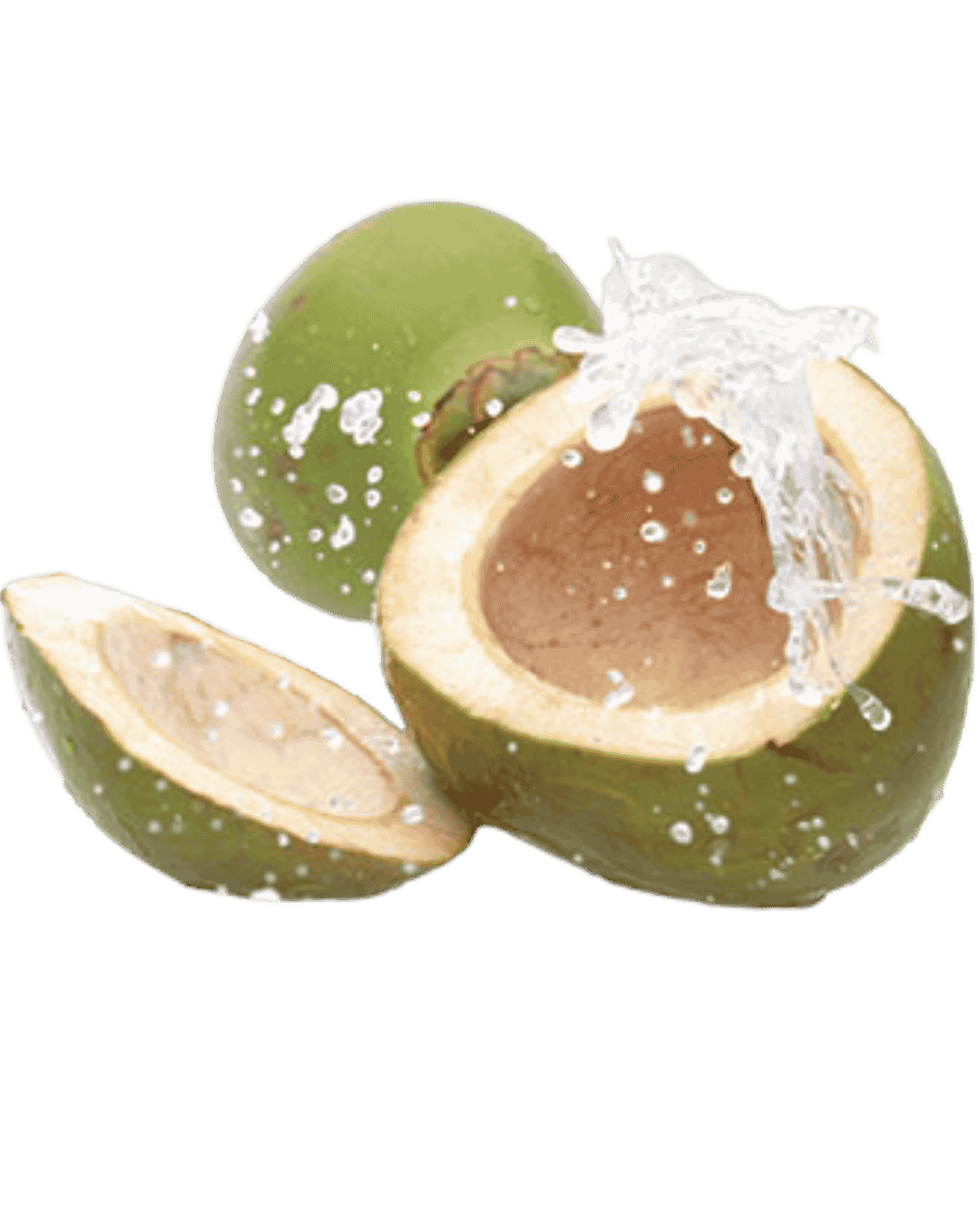 coconut water fun facts