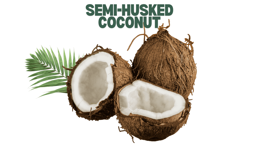 Semi-Husked Coconut from Indonesia