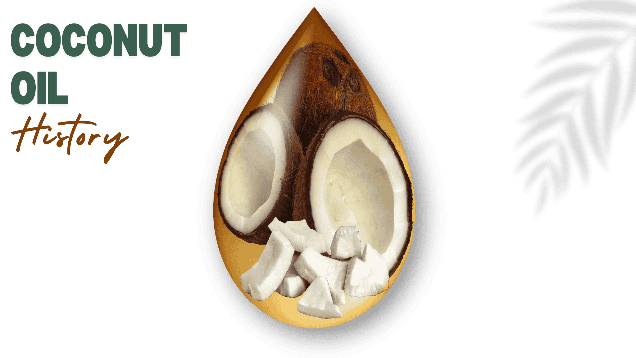 coconut oil history in indonesia