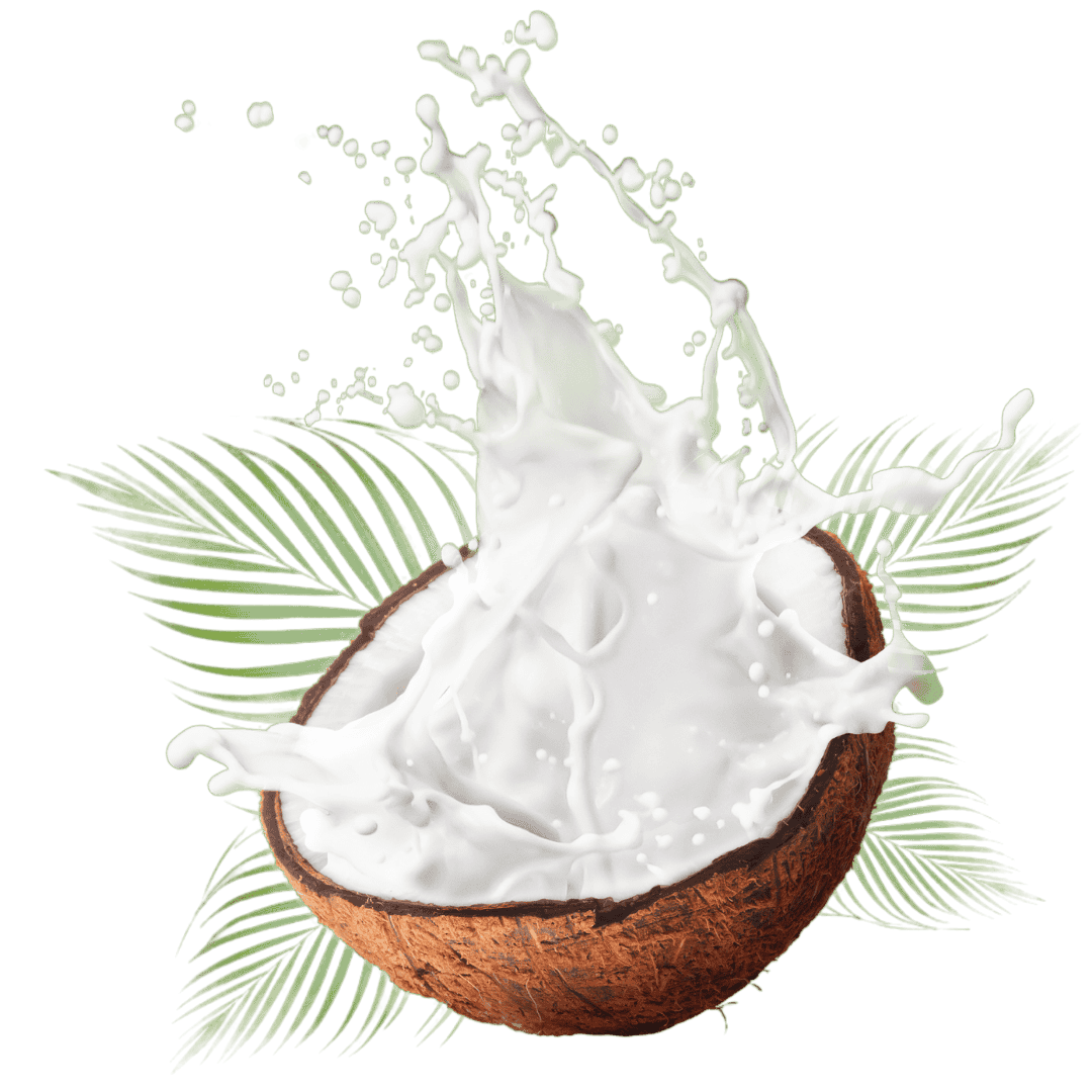 coconut milk